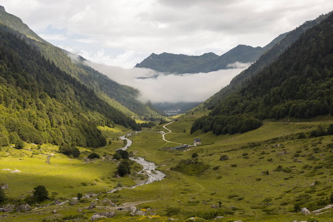 a valley with a river running through it,