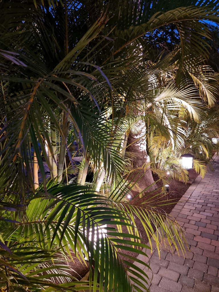 Outdoor Pathway Lights