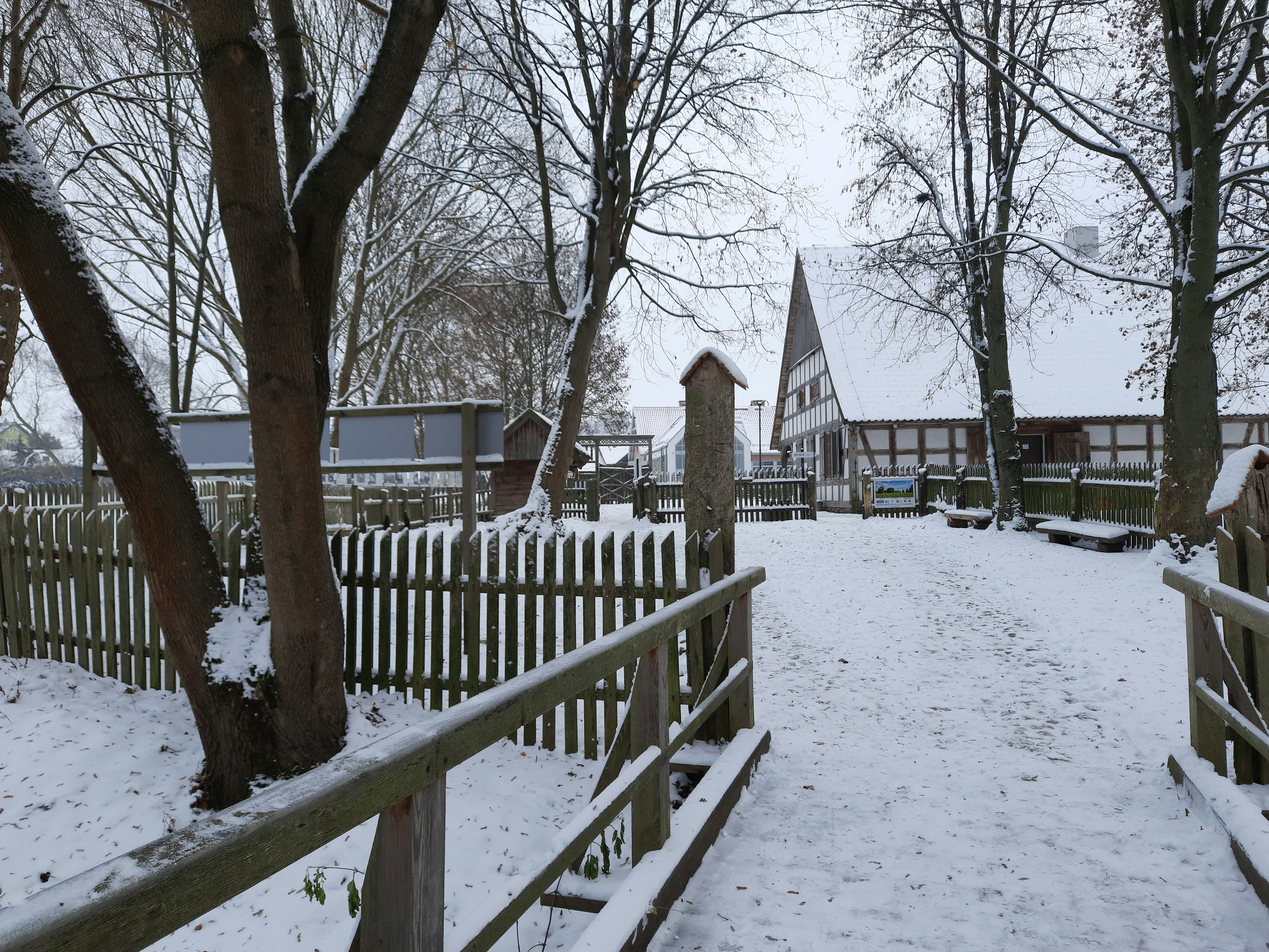 a snowy path leading to a wooden fence