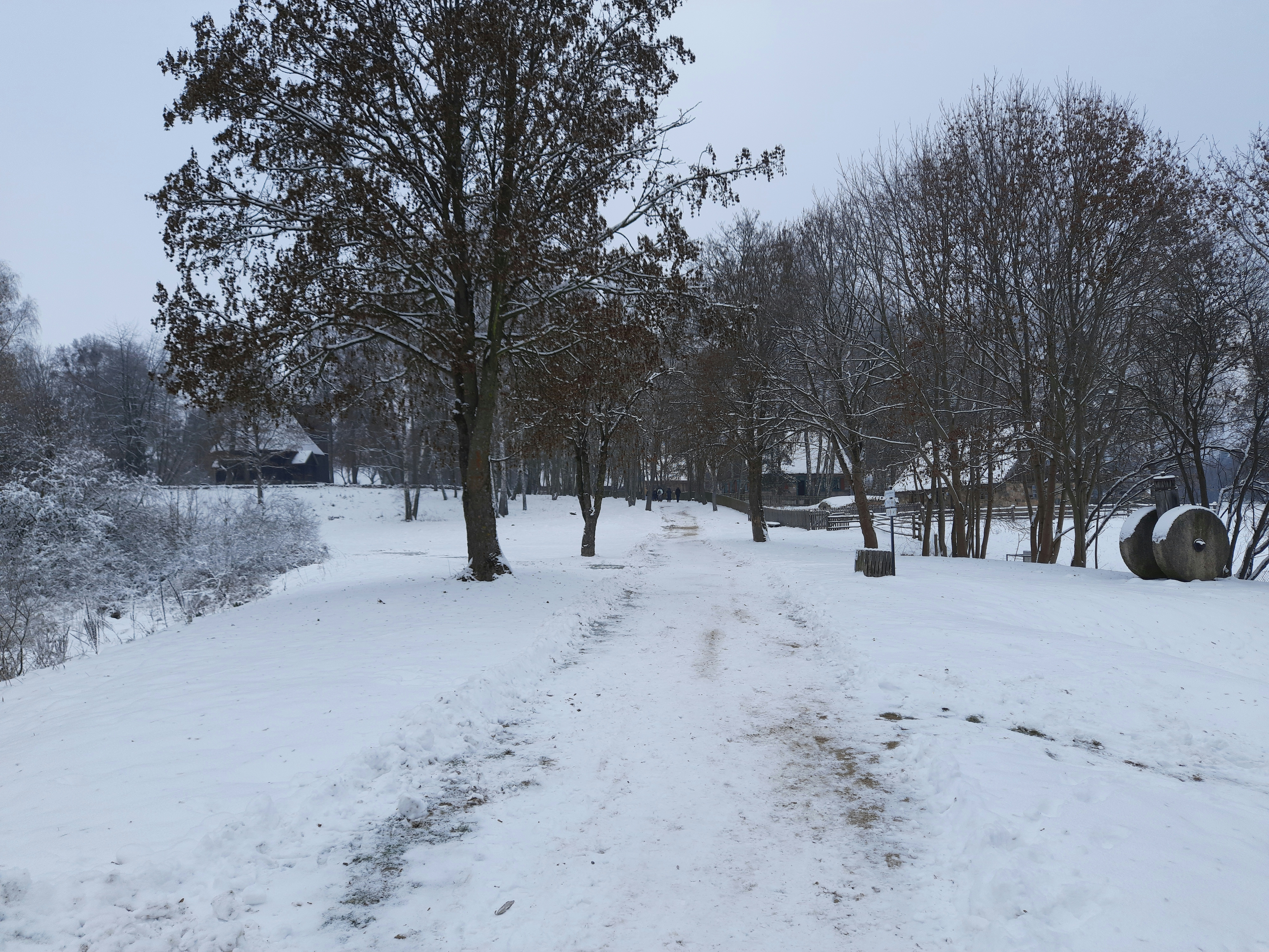 taken on 15 dec 2022