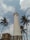 A tall, white cylindrical lighthouse stands majestically against a partly cloudy sky. It is flanked by several tall palm trees swaying gently in the breeze. Adjacent to the lighthouse, there is a small building with a ladder leading up to the roof.