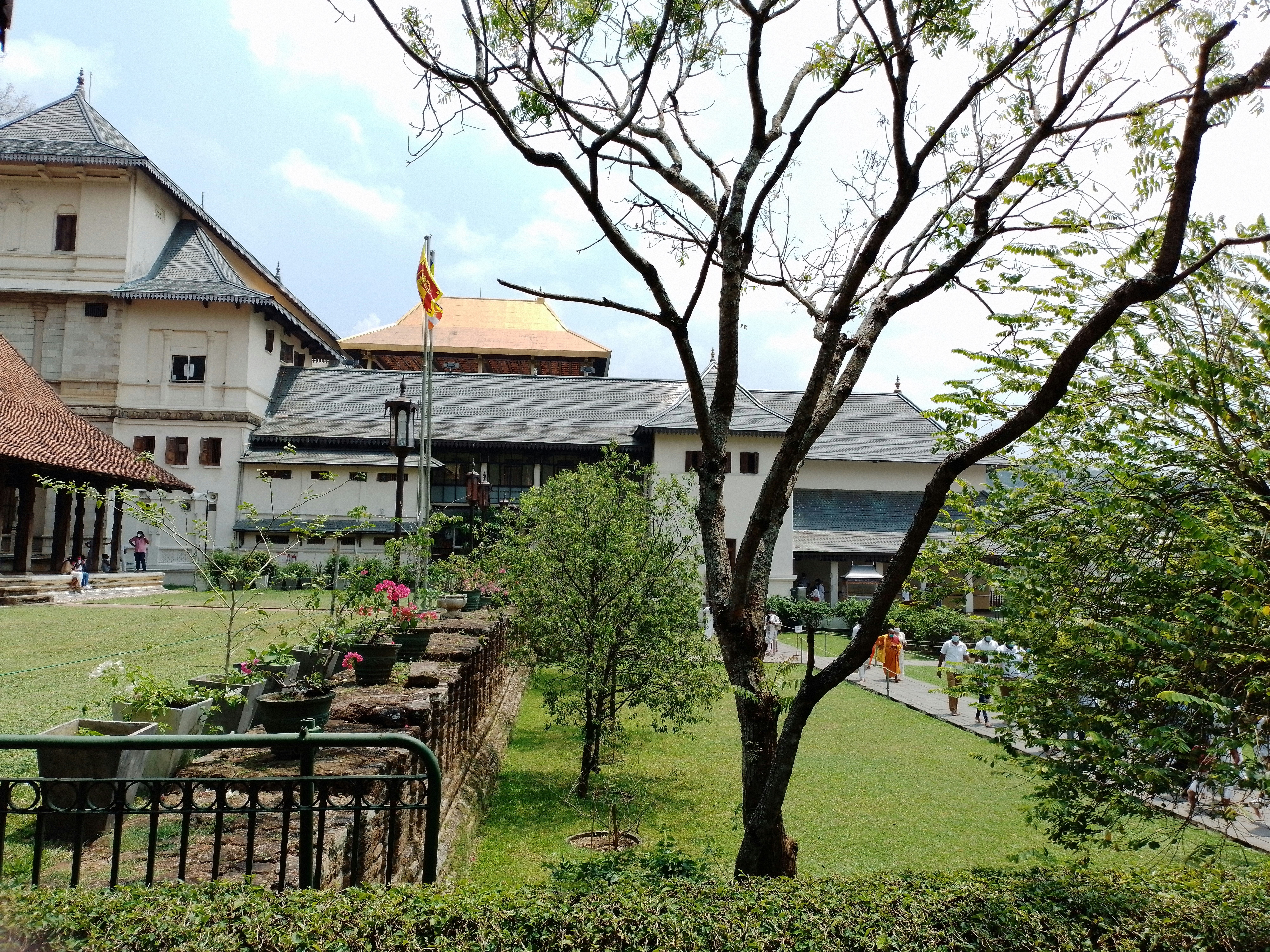 a view of a building from across the yard