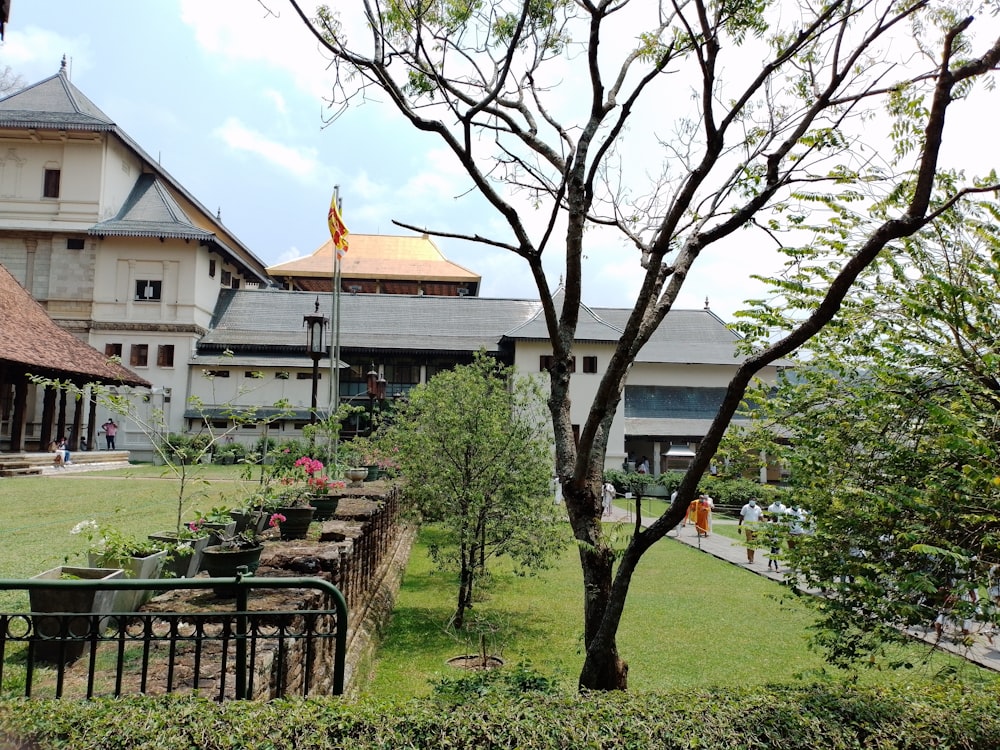 a view of a building from across the yard