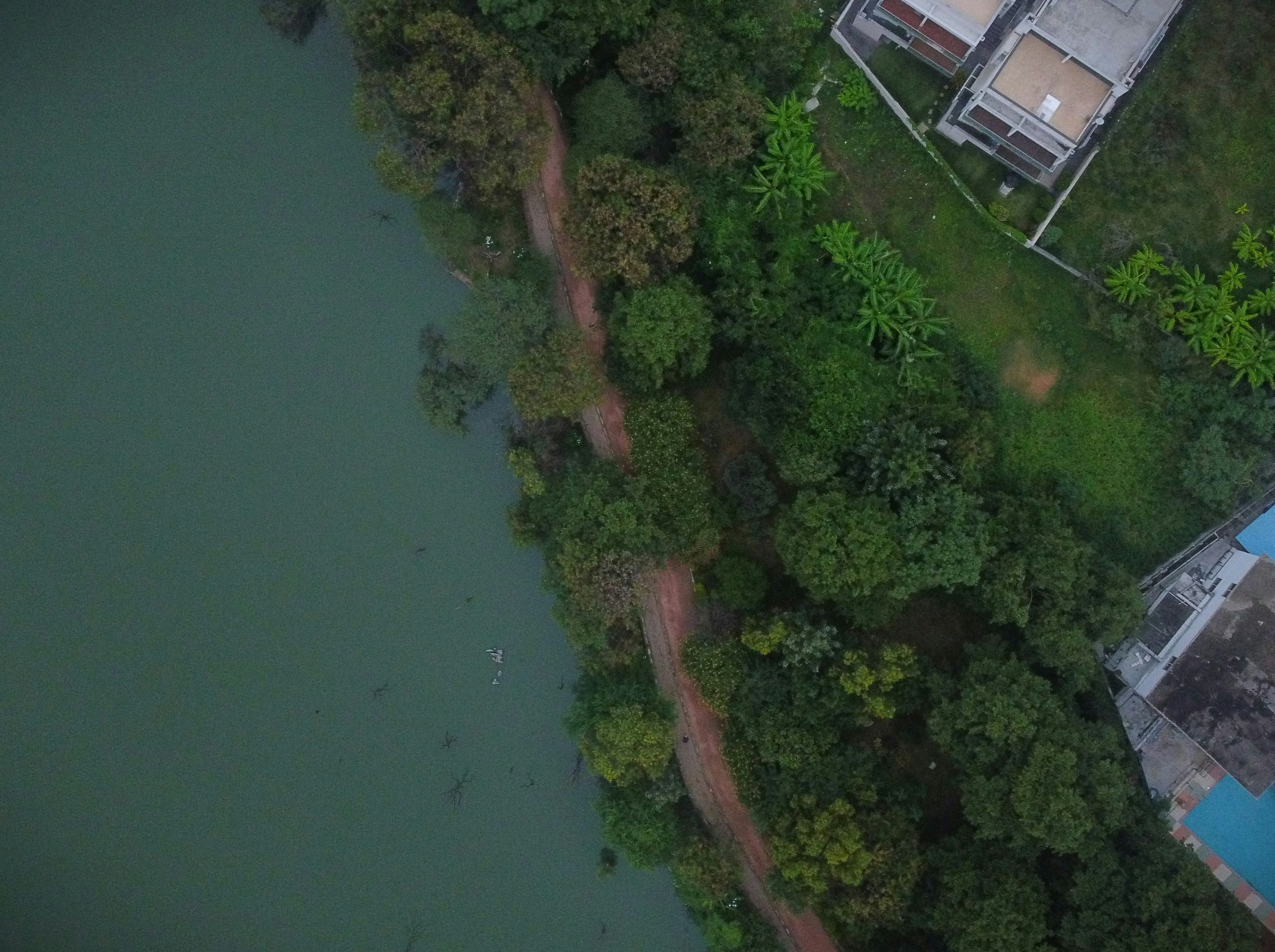 Aerial view of lake and forest ecosystem, sustainable development, natural landscape, green environment