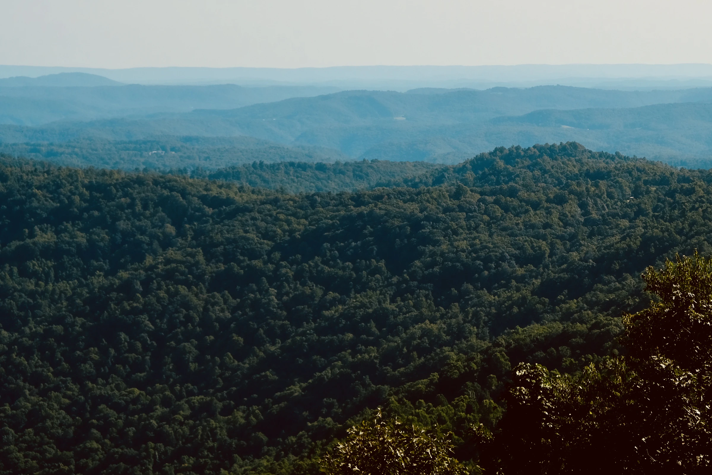 Mist rising over the Appalachian ridgeline in West Virginia.