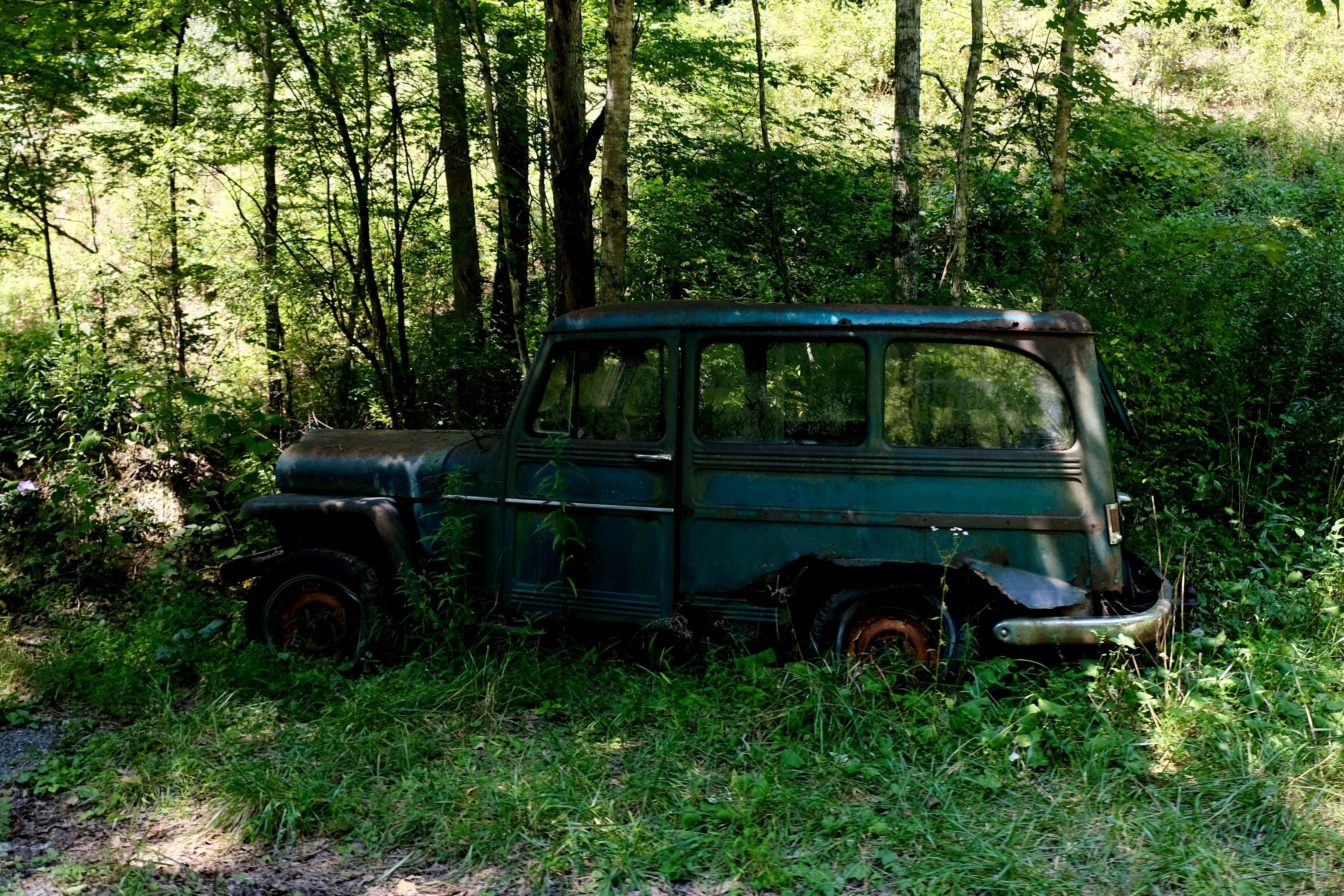 an old truck sitting in the middle of a forest