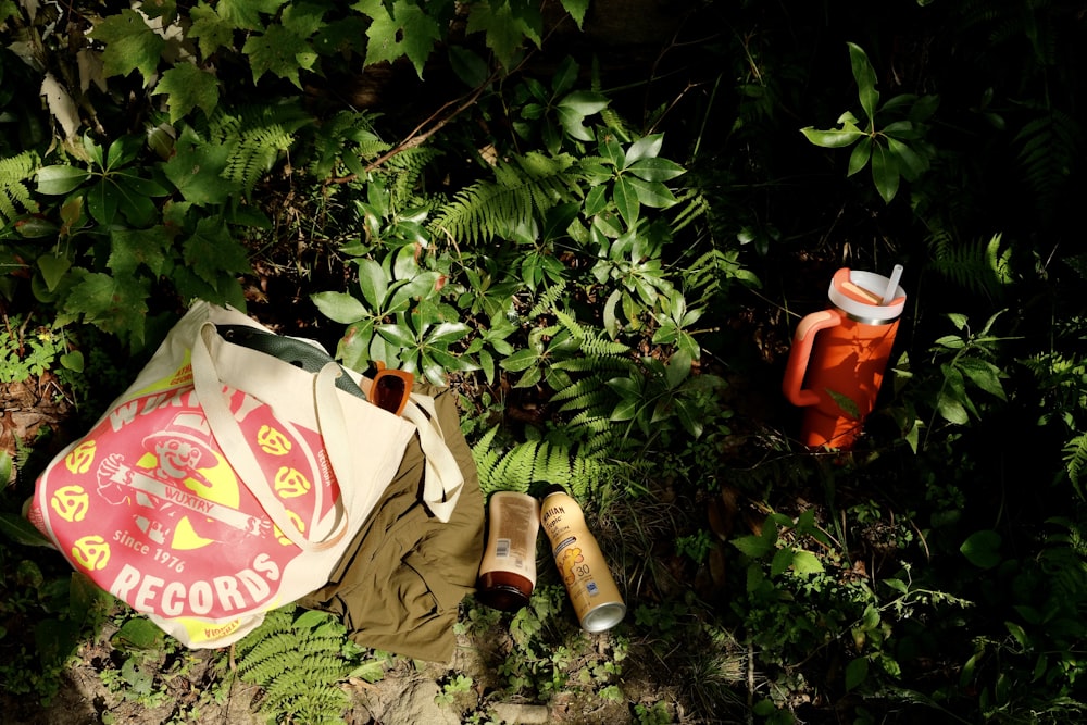 a bag and a pair of shoes laying on the ground