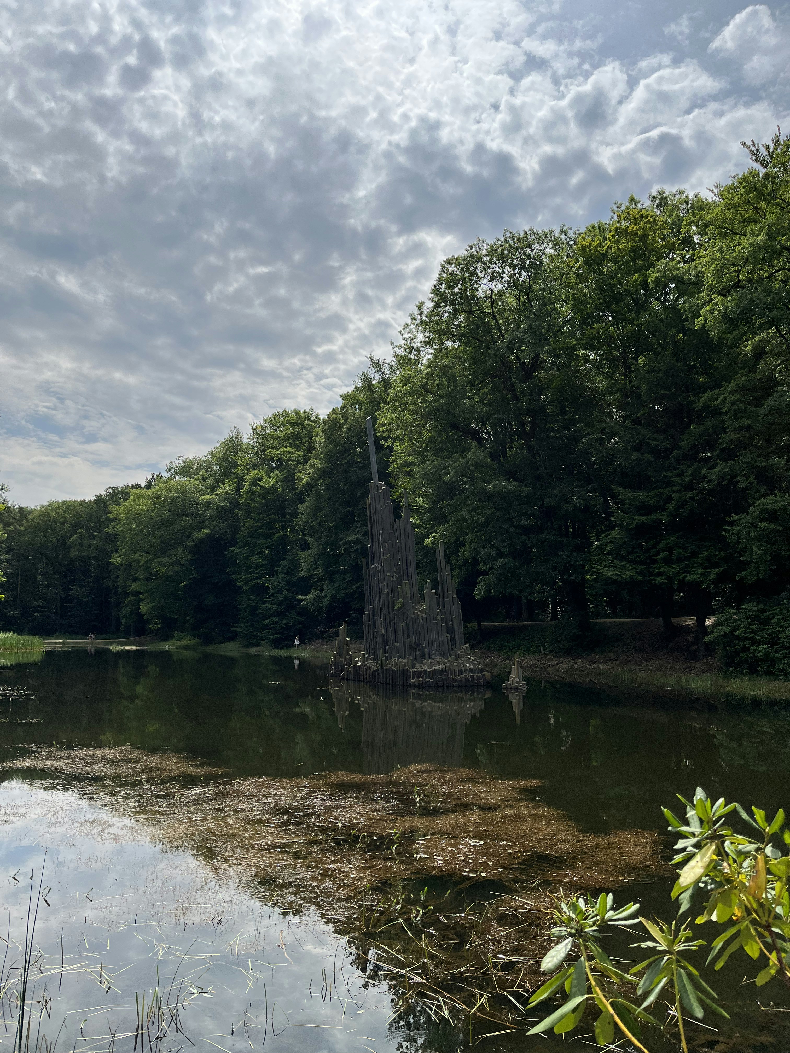 a body of water surrounded by trees and grass