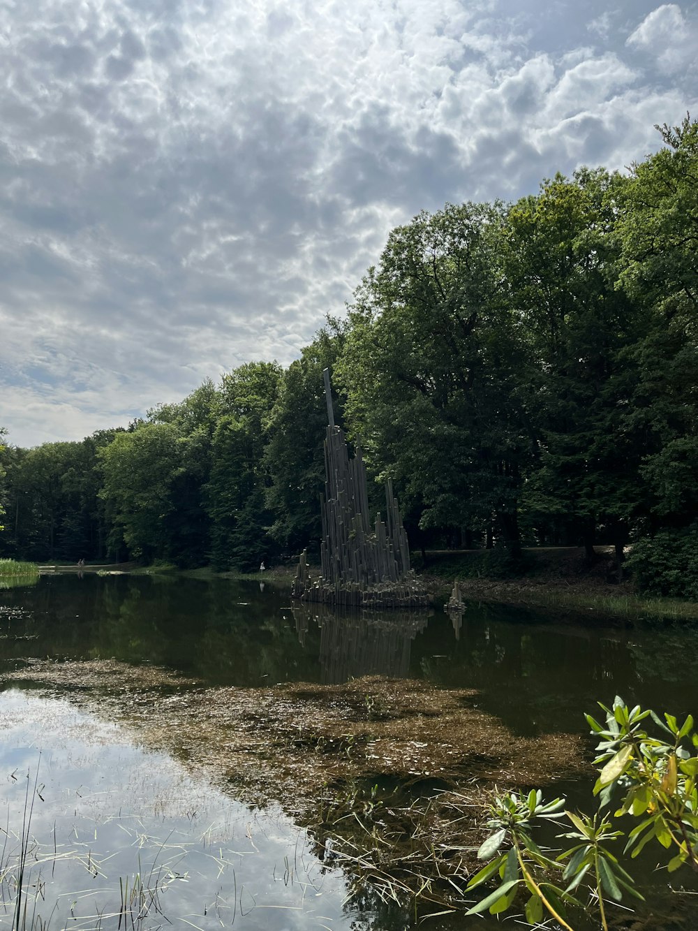 a body of water surrounded by trees and grass