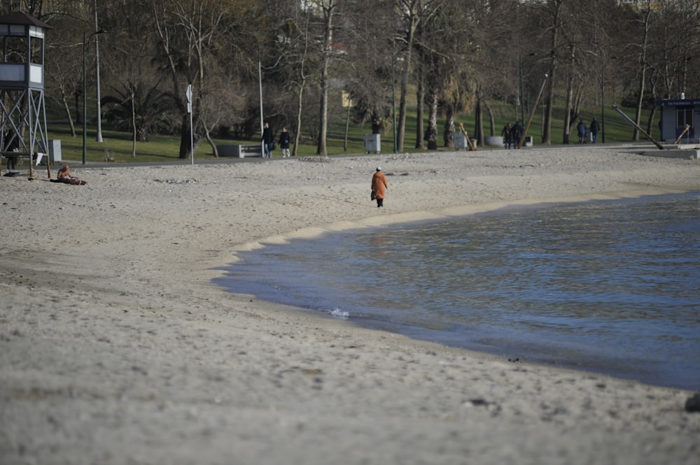 a person walking on a beach next to a body of water