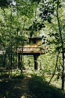 A sun-dappled treehouse nestled among tall oaks, with a weathered rope ladder hanging down.