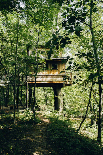 A sunlit treehouse nestled among tall oaks with a treasure map pinned to the wooden wall inside.