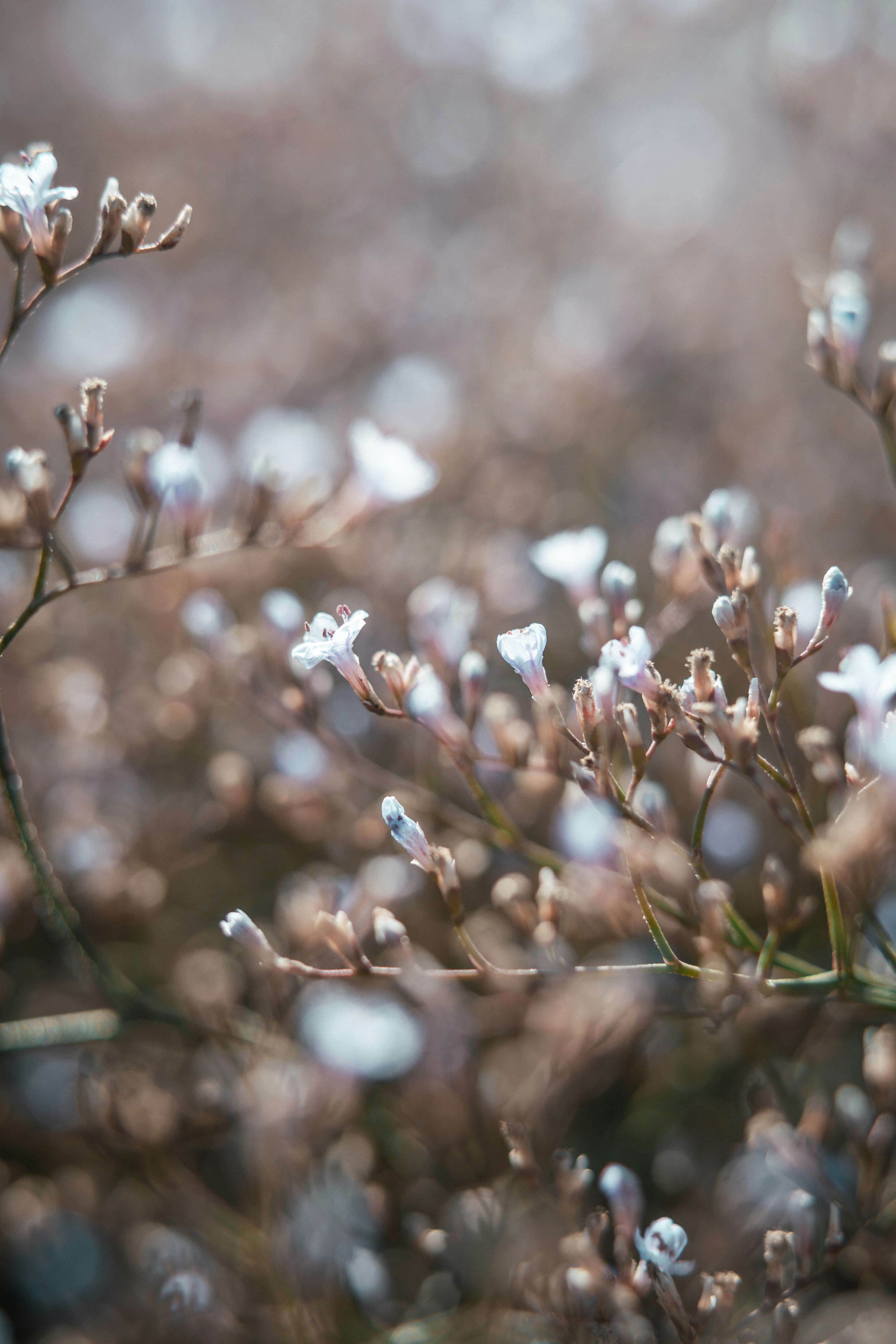 Photo by anamnesis33