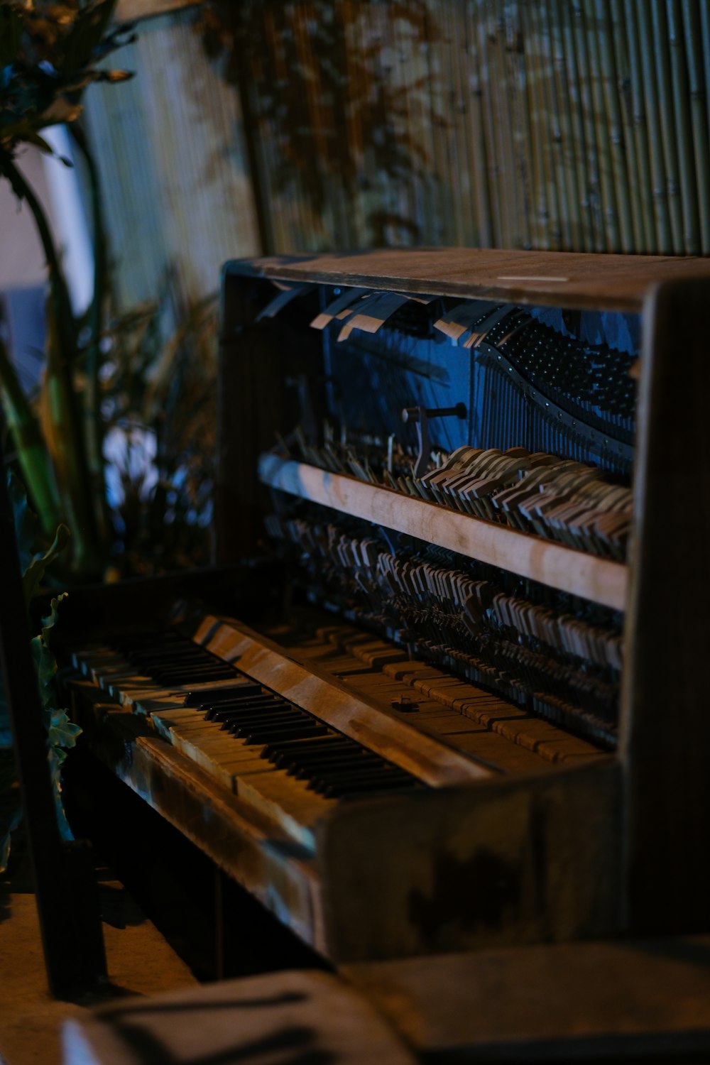 a close up of a piano near a potted plant