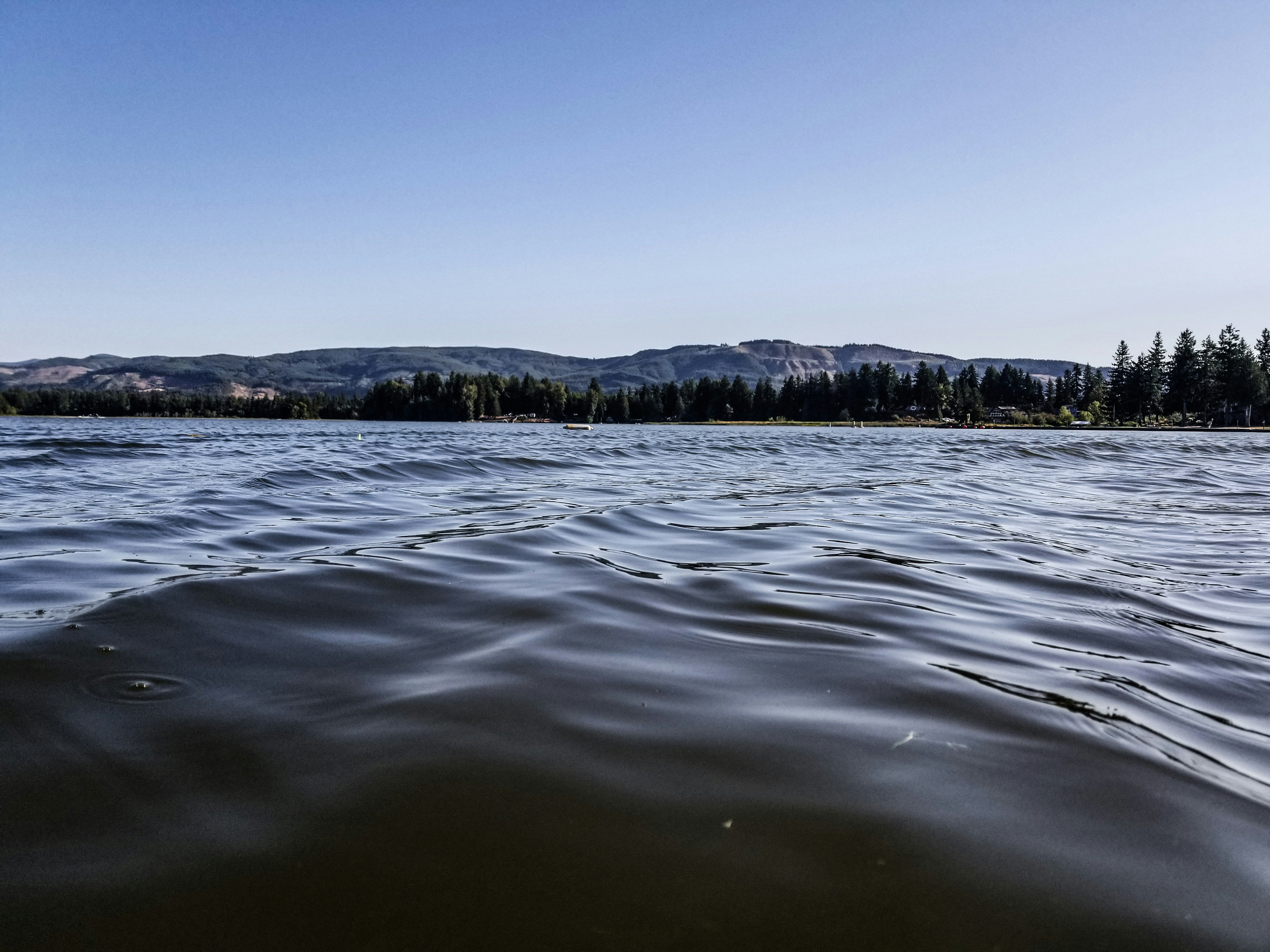 Photo by prphotography262