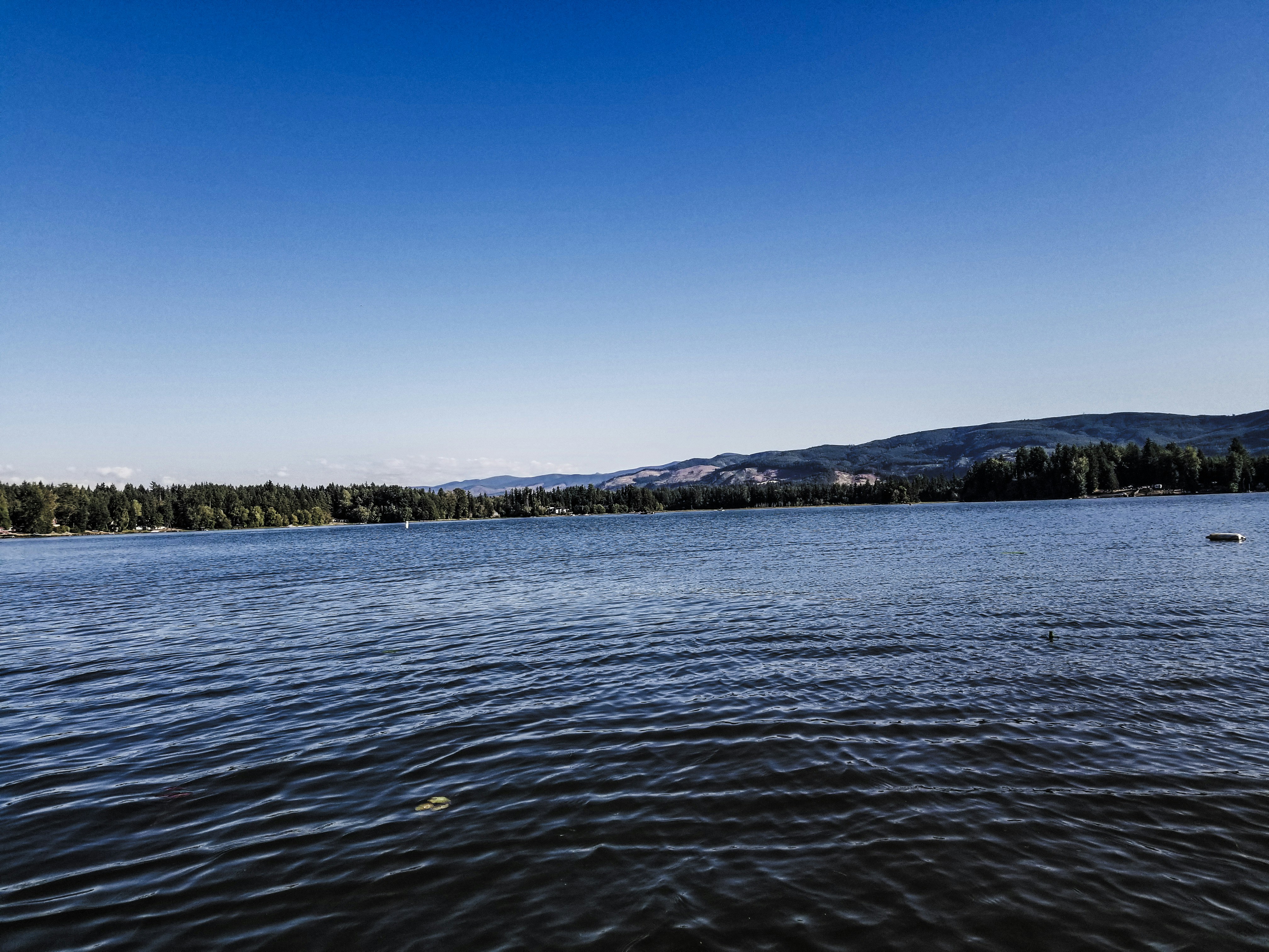 Photo by prphotography262