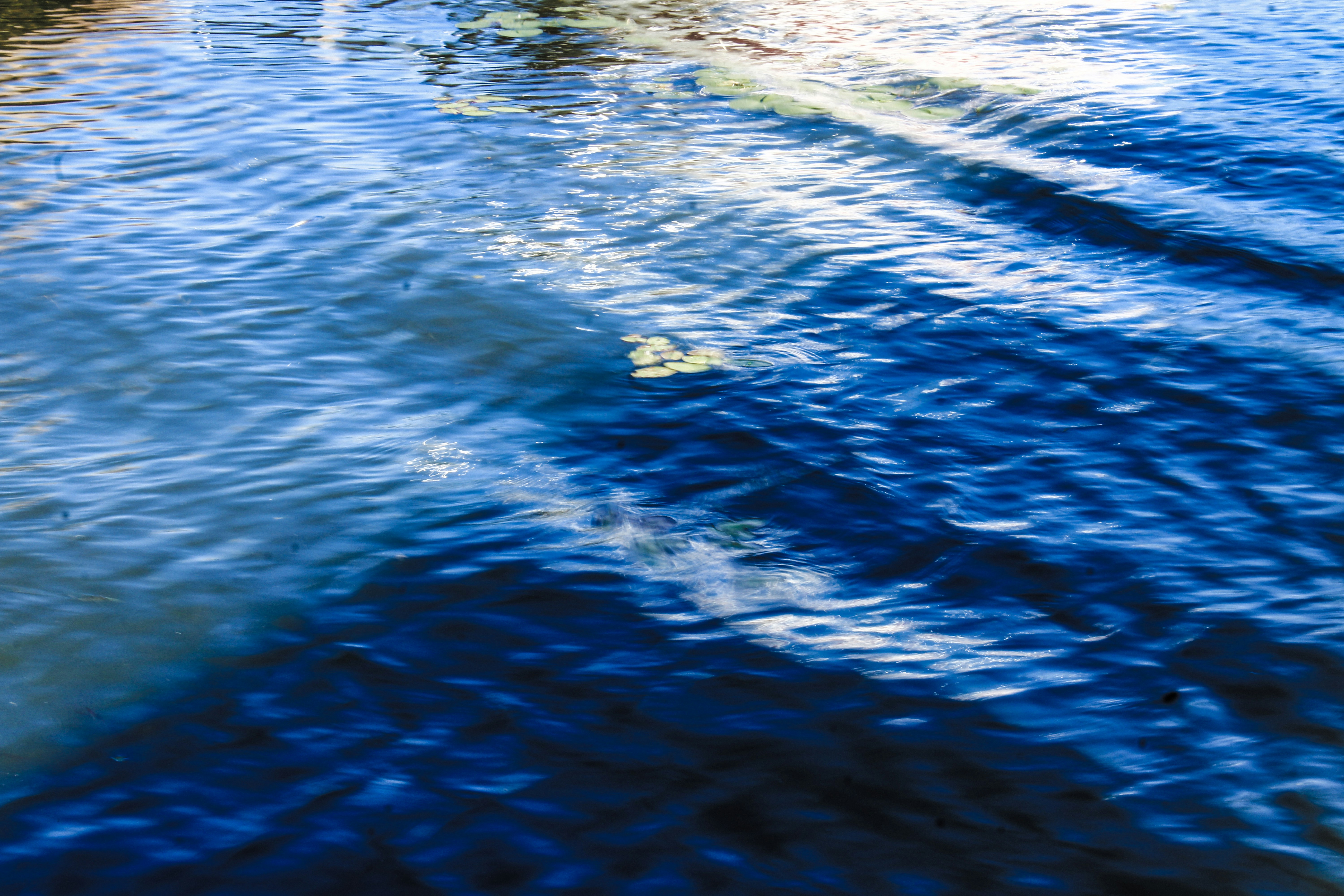 Photo by prphotography262