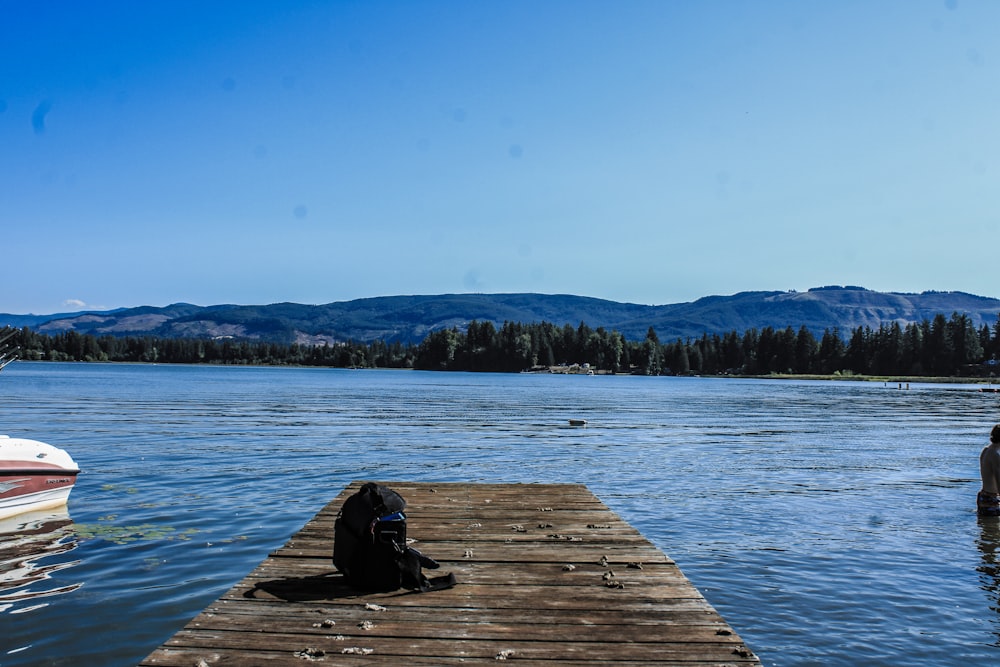 a person sitting on a dock next to a body of water