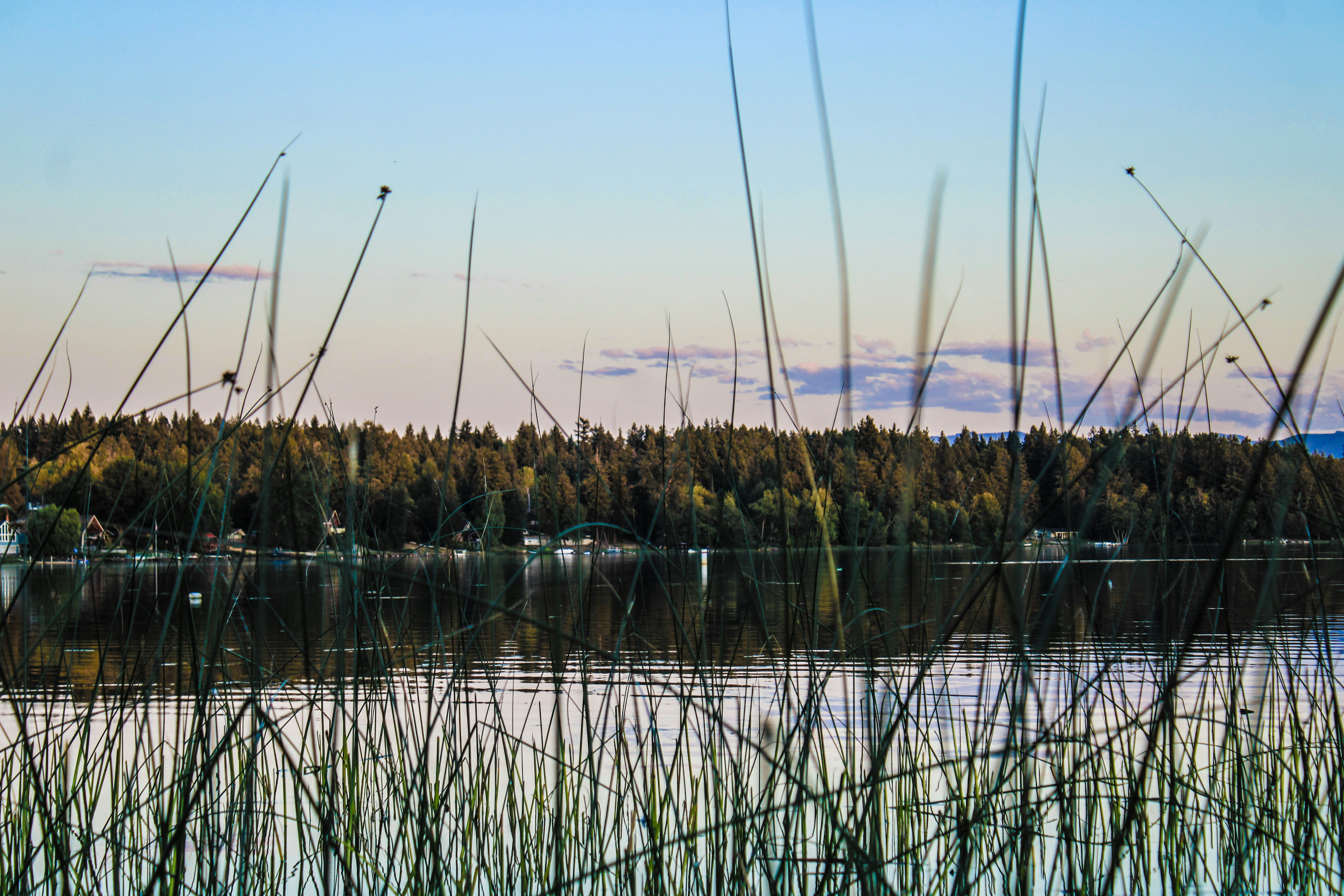 Photo by prphotography262