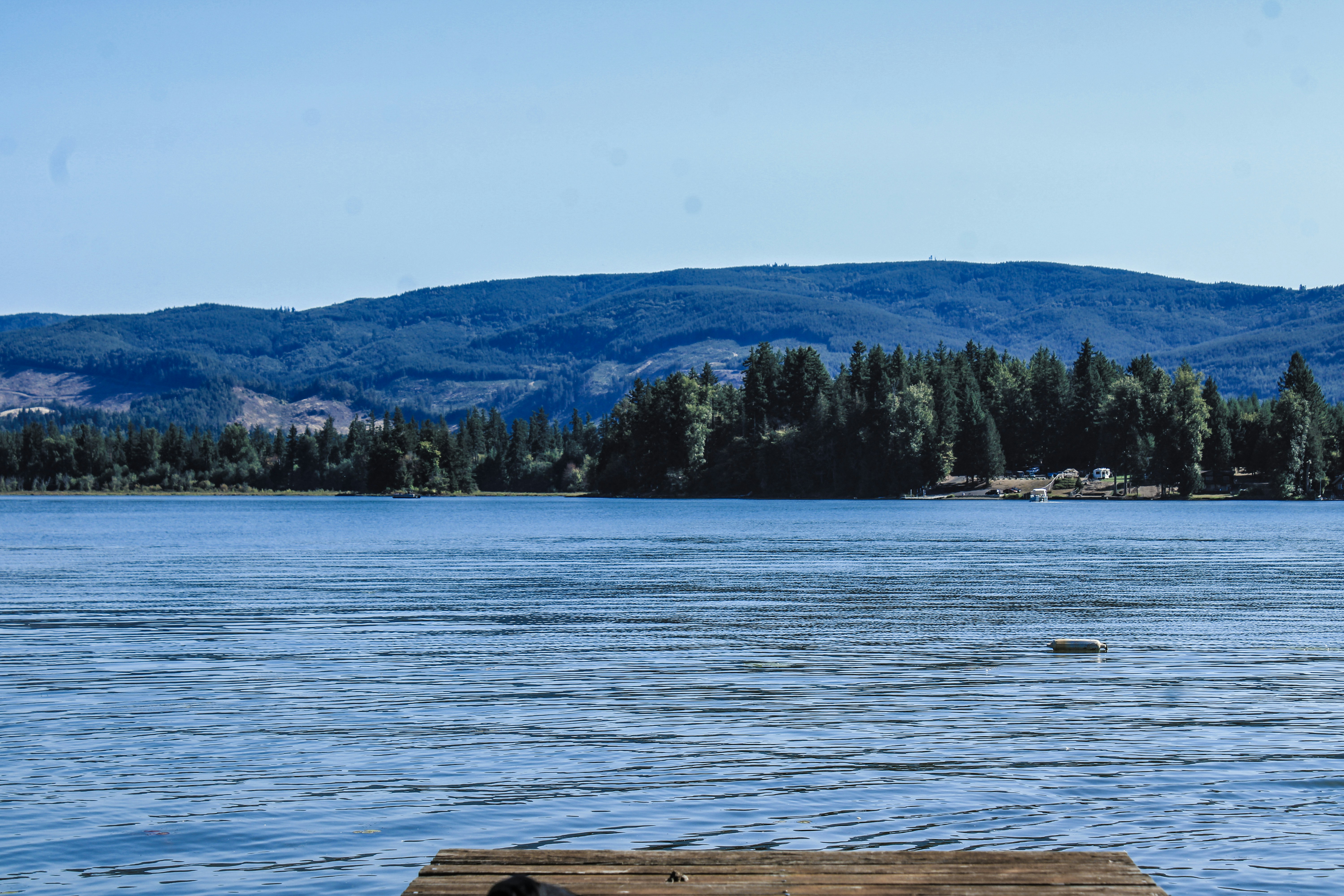 Photo by prphotography262