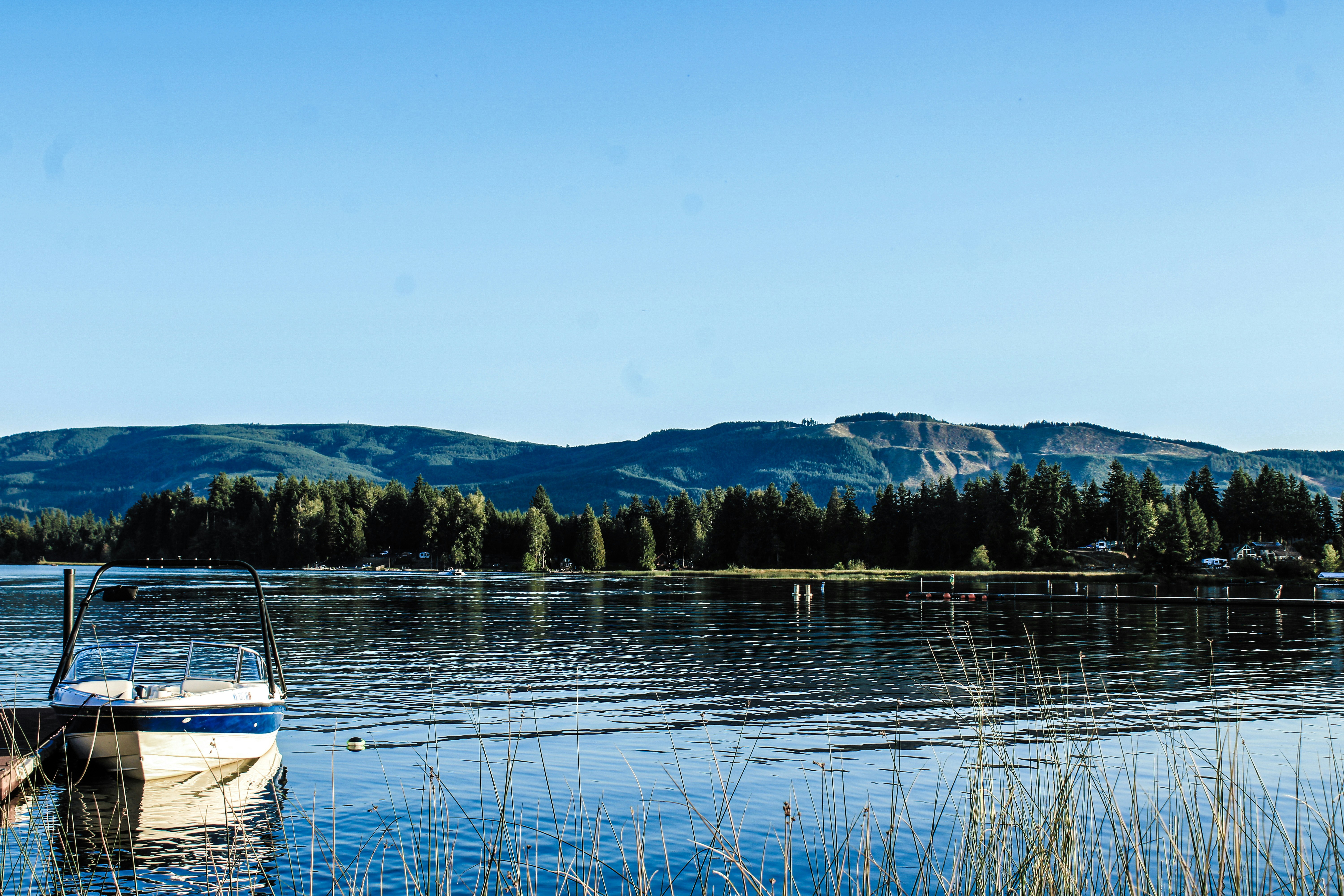 Photo by prphotography262