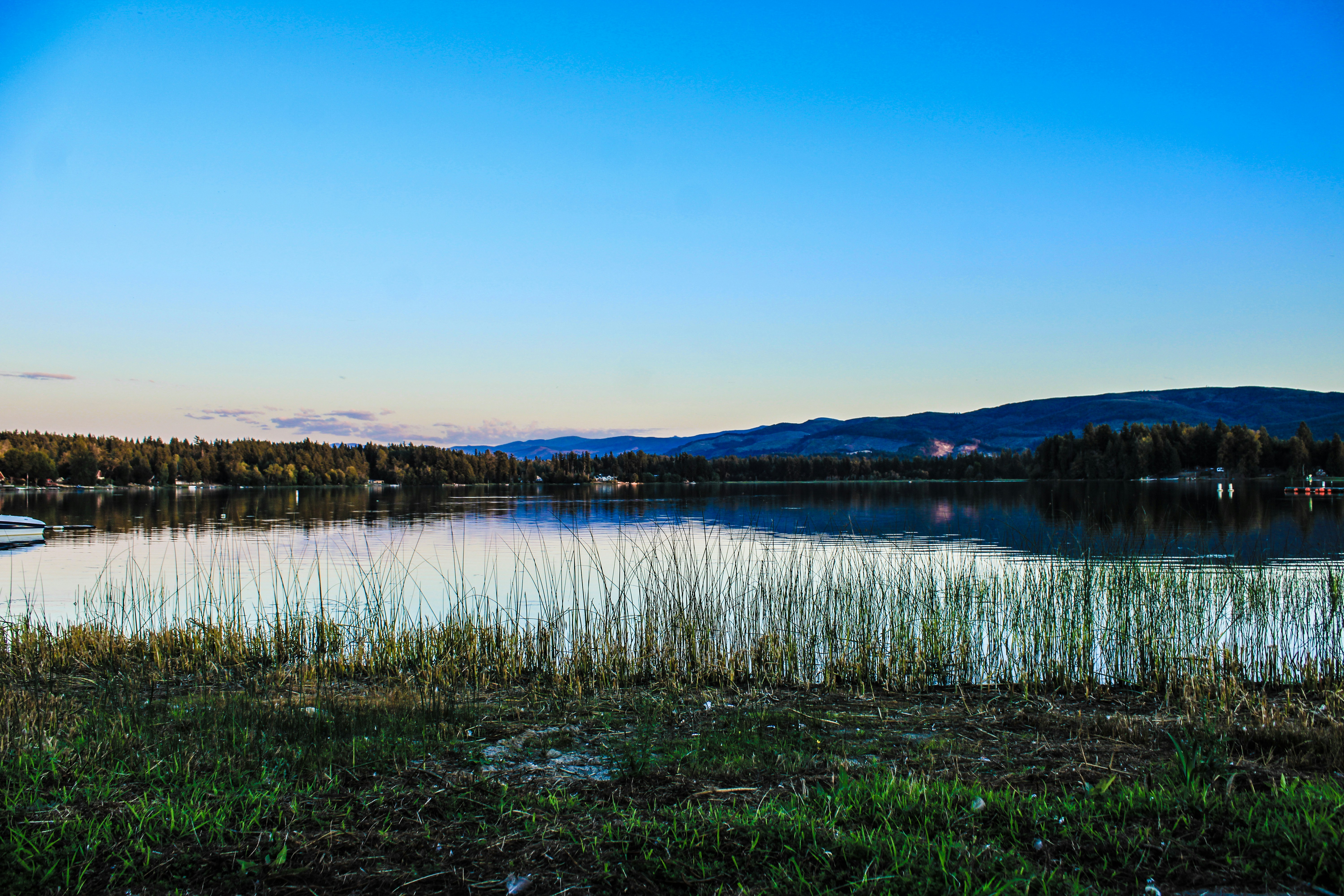 Photo by prphotography262