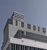  Gestor. Usługi finansowo - księgowe. Gajewski Zbigniew logo