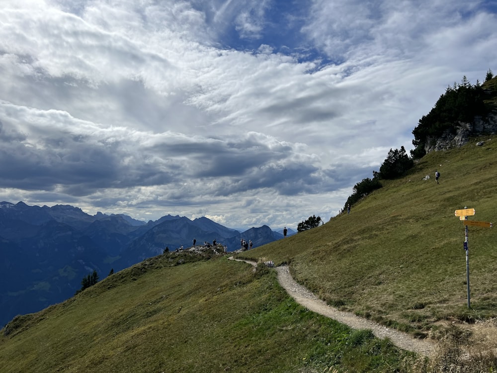 a grassy hill with a trail going up the side of it