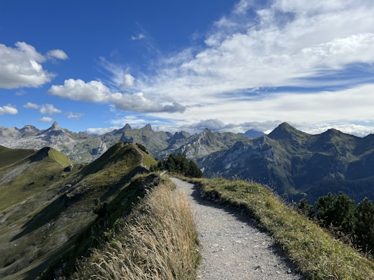 A scenic mountain landscape with a winding hiking trail leading through grassy hills. The trail is surrounded by lush greenery and the scene is set against a backdrop of towering, rugged mountain peaks. The sky is partly cloudy with a bright blue hue.