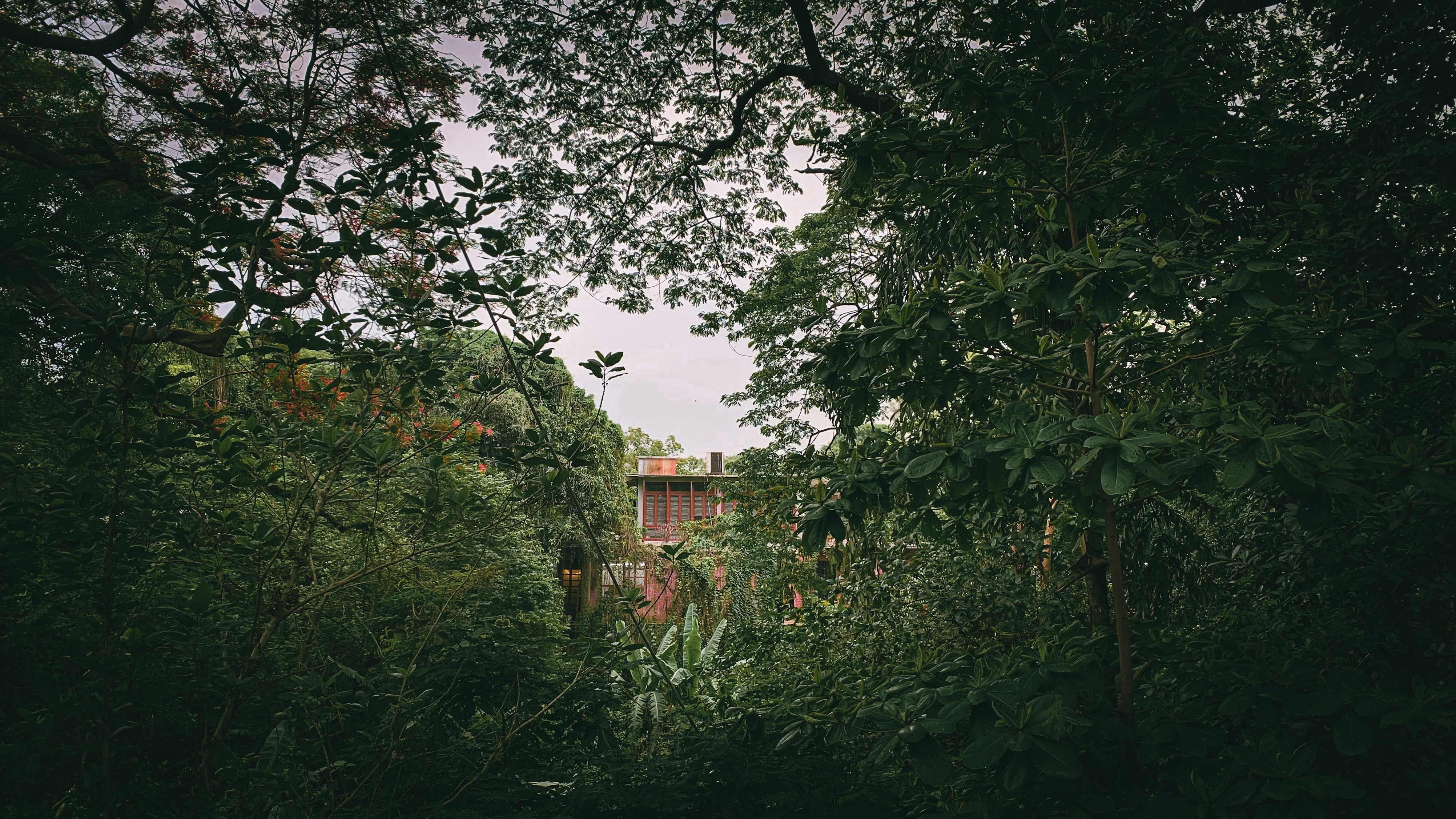 Photo by reya_zannat