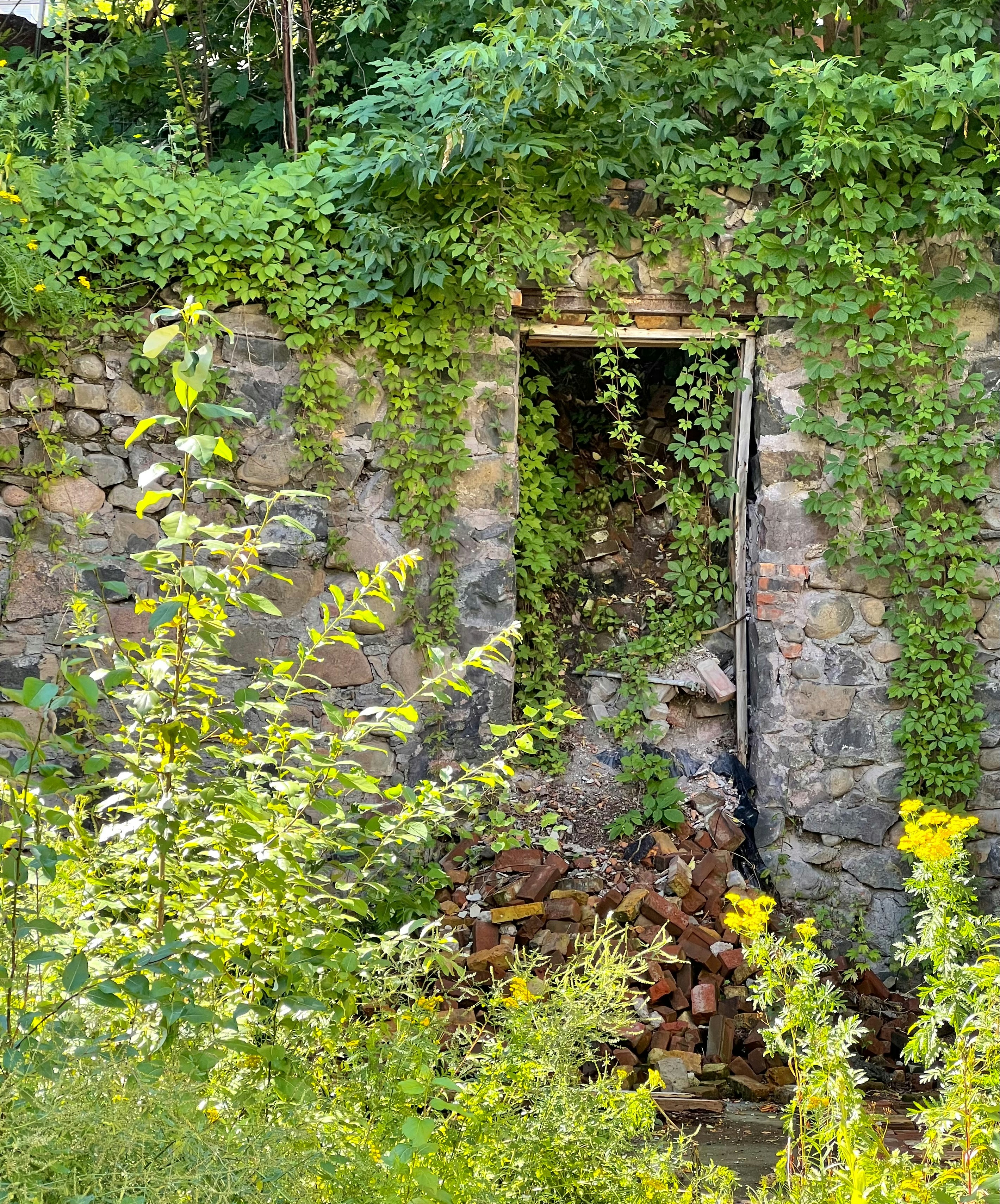 Photo by mike_loftus