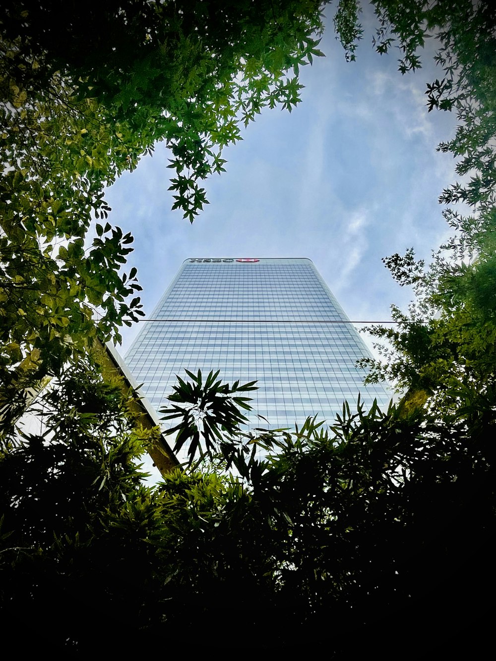 a very tall building seen through some trees