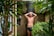 A man is taking a shower in an outdoor setting surrounded by lush green plants. He stands under a stream of water with his hands on his head, appearing relaxed and contemplative. Bottles of shower products are visible on a shelf attached to the stone wall.