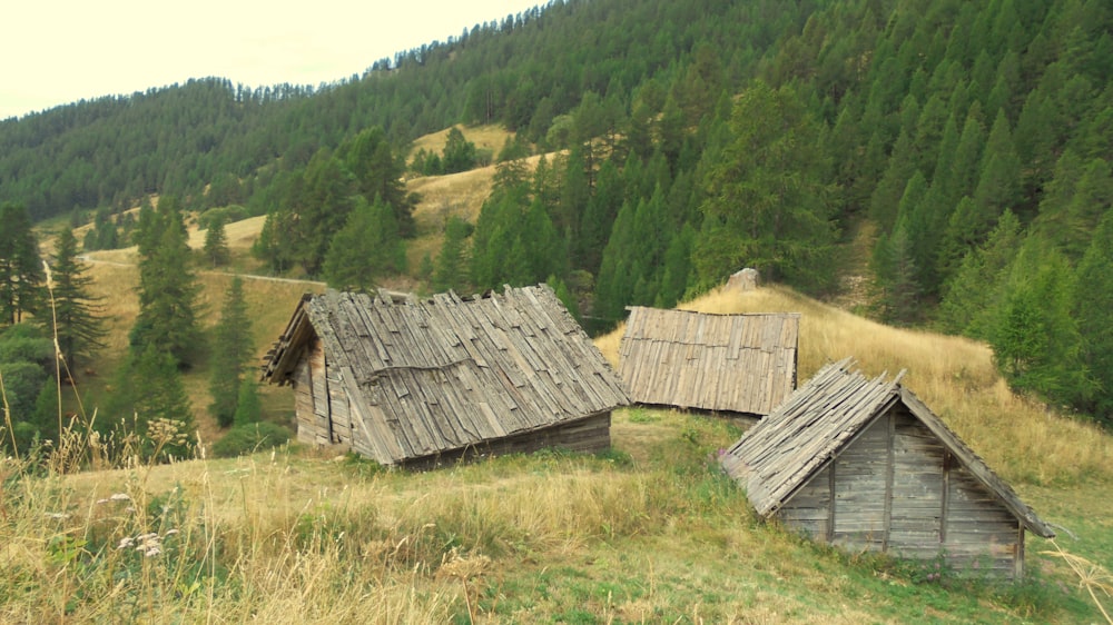 a couple of wooden buildings sitting on top of a lush green hillside