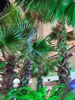 Tall palm trees with lush, spiky green fronds are illuminated by bright lights, creating an indoor tropical ambiance. The background features modern architectural elements with wooden and stone textures.
