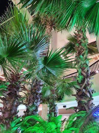 Elegant artificial palm tree brightening a modern office lobby.