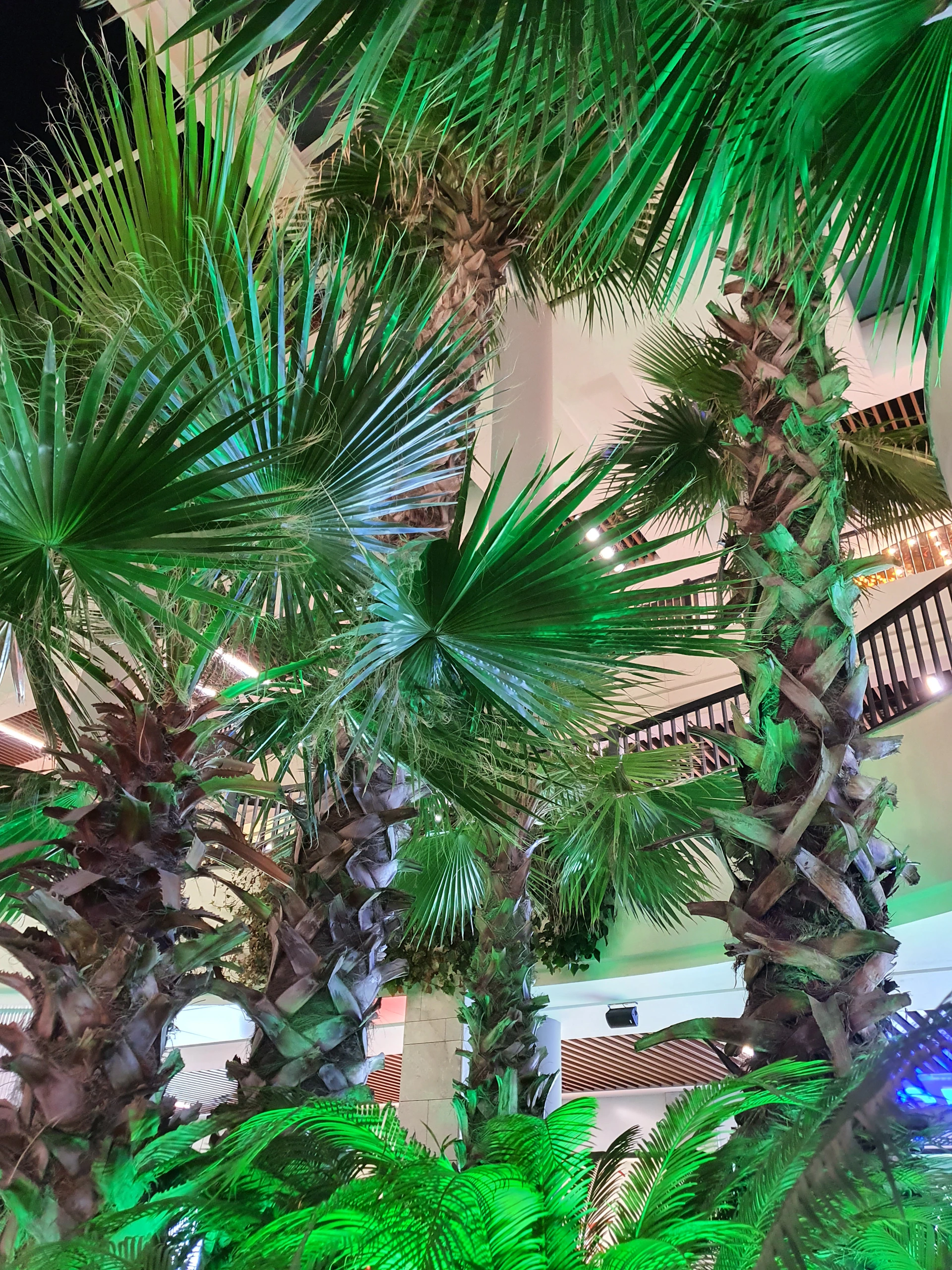 A warmly lit corner of Palmeras Lounge Bar showcasing elegant tropical decor with dark green and gold accents.