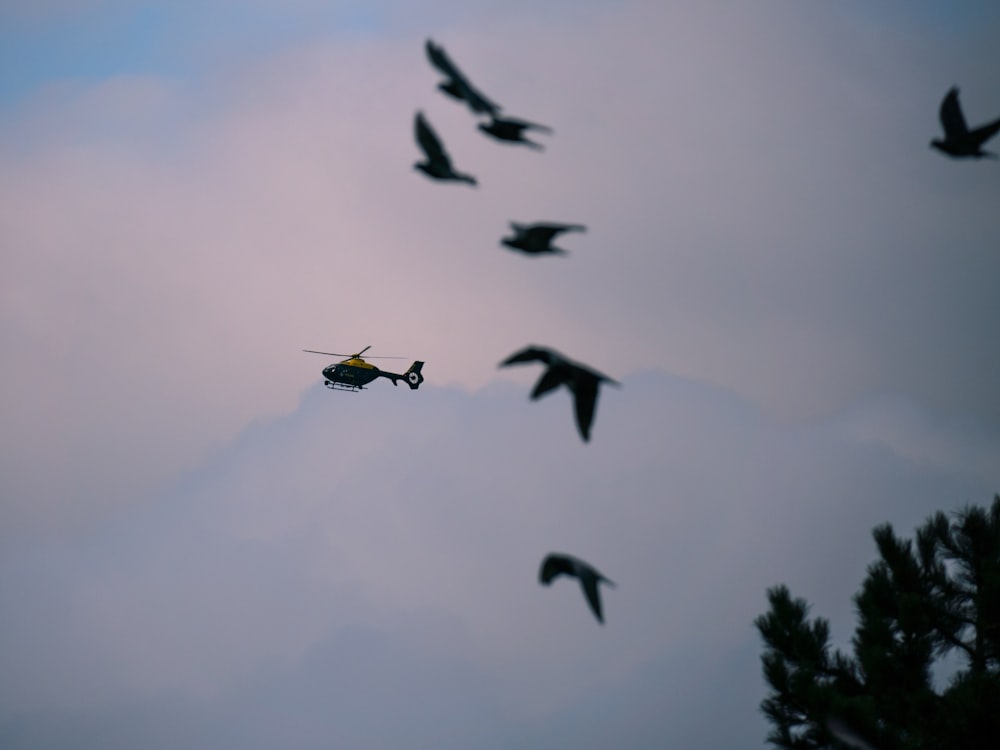 a helicopter flying through a cloudy sky with a flock of birds