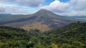 a view of a mountain with trees in the foreground