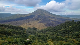 a view of a mountain with trees in the foreground