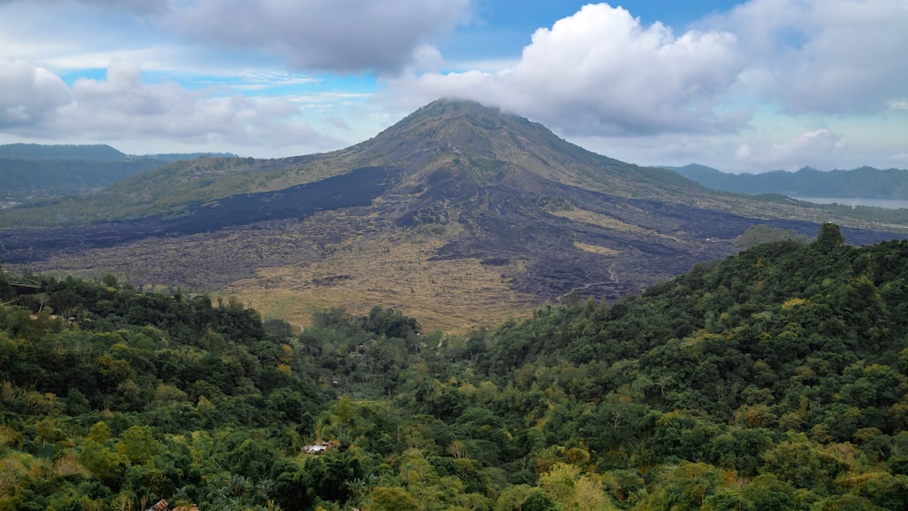 a view of a mountain with trees in the foreground