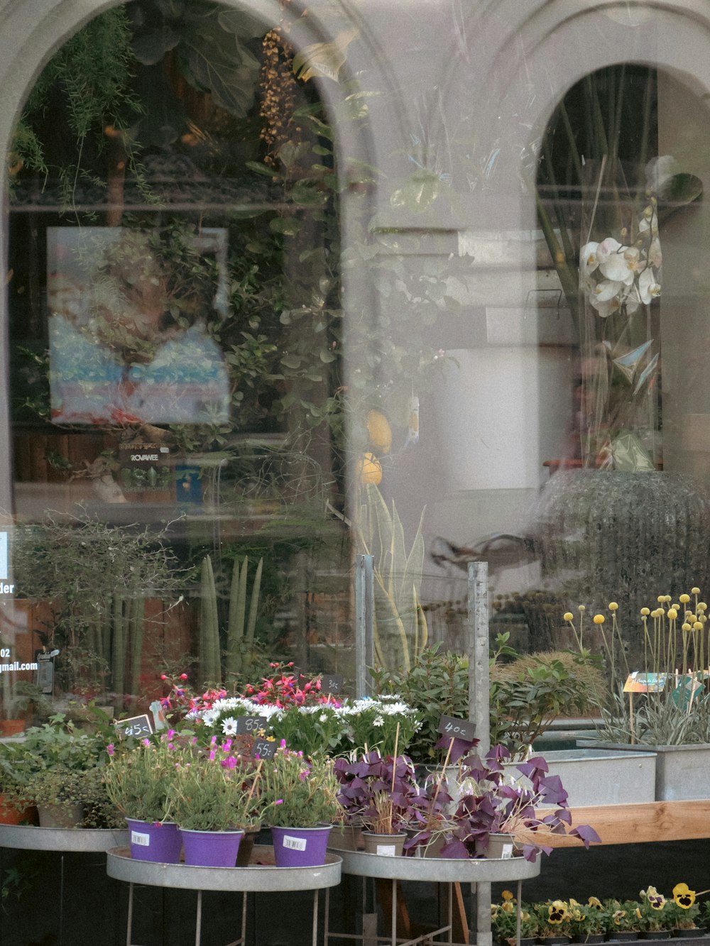 a bunch of flowers that are sitting in a window