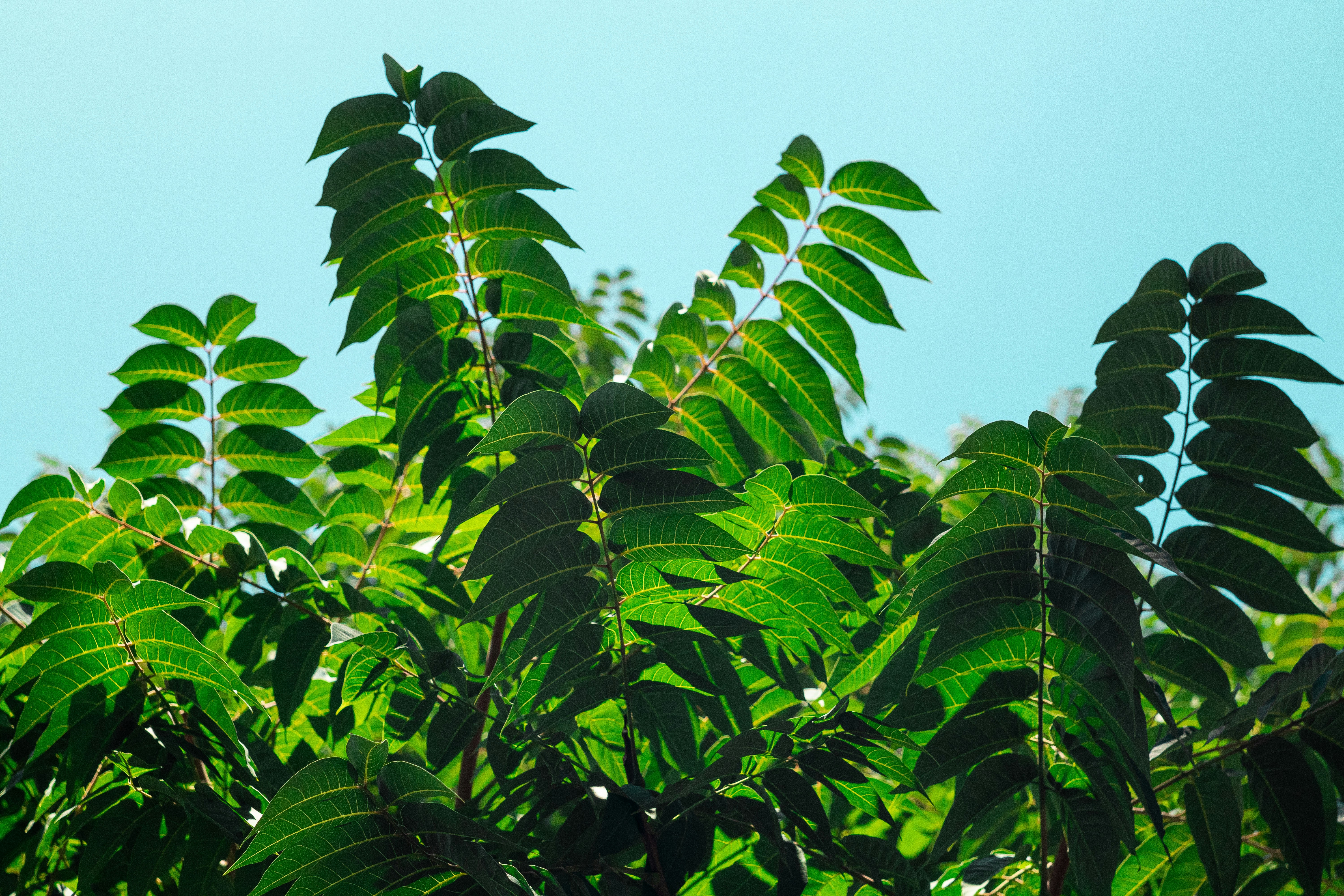 Photo by took_a_snap