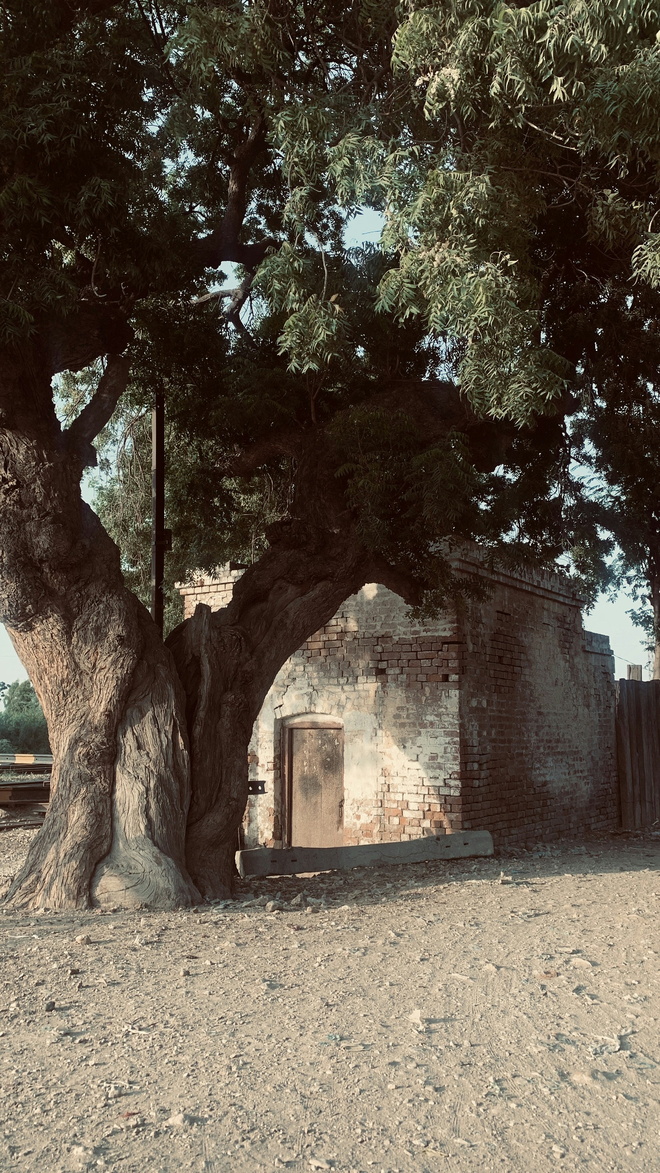 Photo by malihashoro