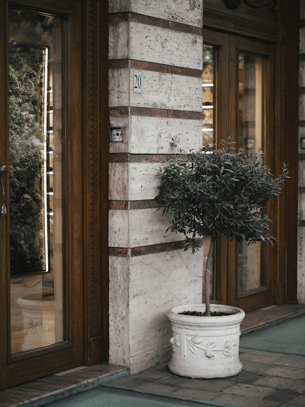 a potted plant sitting on the side of a building