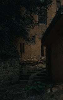An atmospheric black-and-white ink drawing of a mysterious alleyway, full of shadows and intrigue.