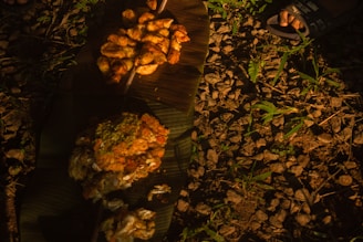 A rustic setting featuring food served on large banana leaves placed on a ground covered with stones and small plants. The light creates warm, earthy tones across the scene. To the right, a pair of feet in sandals is partially visible.