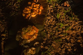 A rustic setting featuring food served on large banana leaves placed on a ground covered with stones and small plants. The light creates warm, earthy tones across the scene. To the right, a pair of feet in sandals is partially visible.