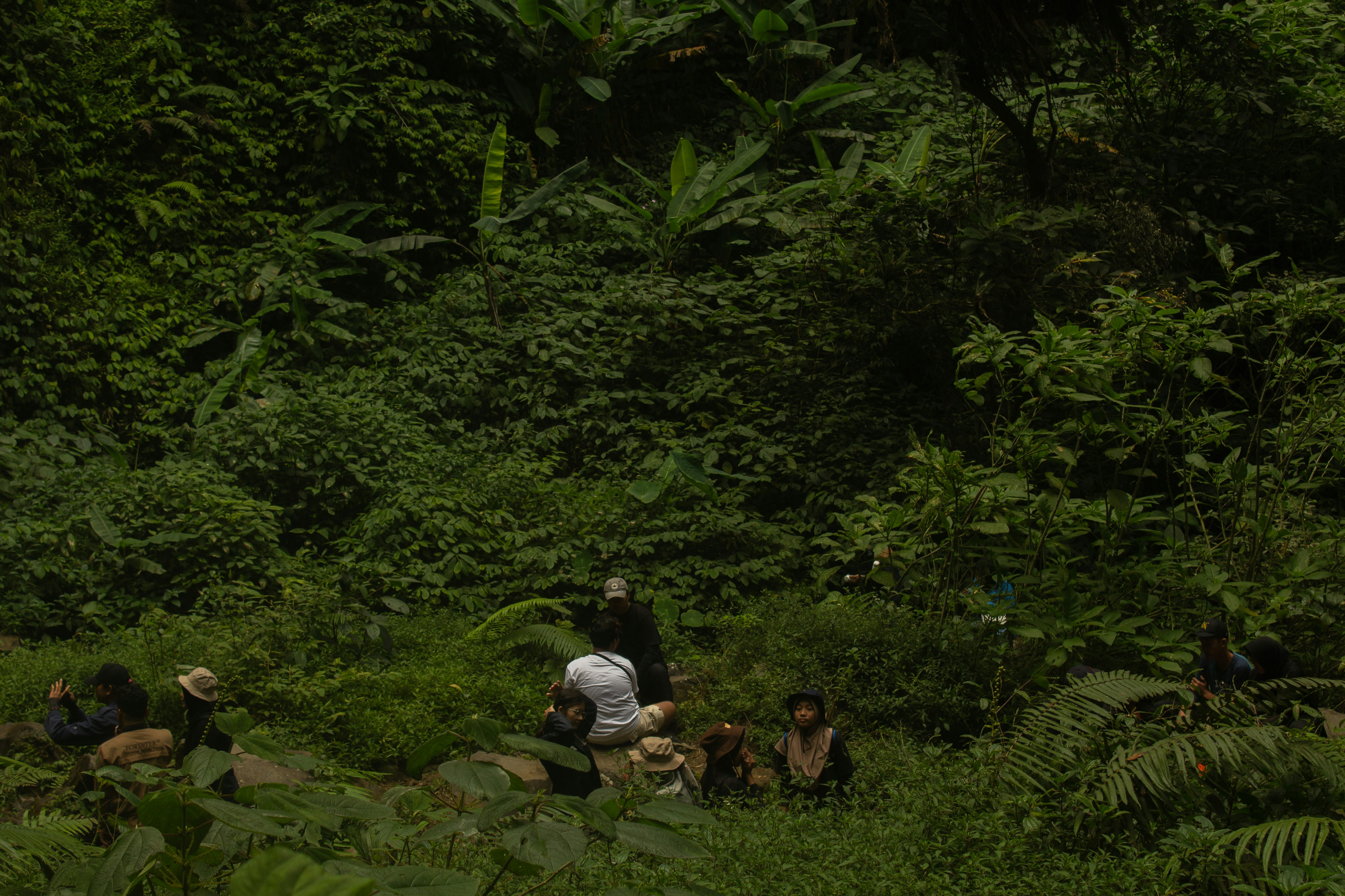 main ensemble cast in jungle setting - nine-bodies-in-a-mexican-morgue