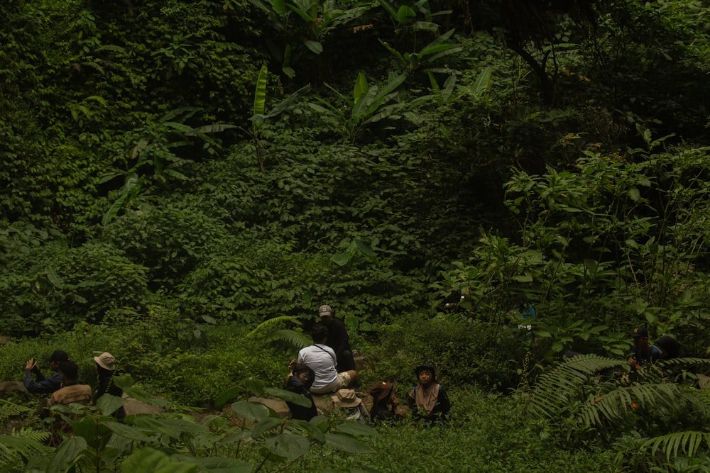 a group of people sitting in the middle of a forest